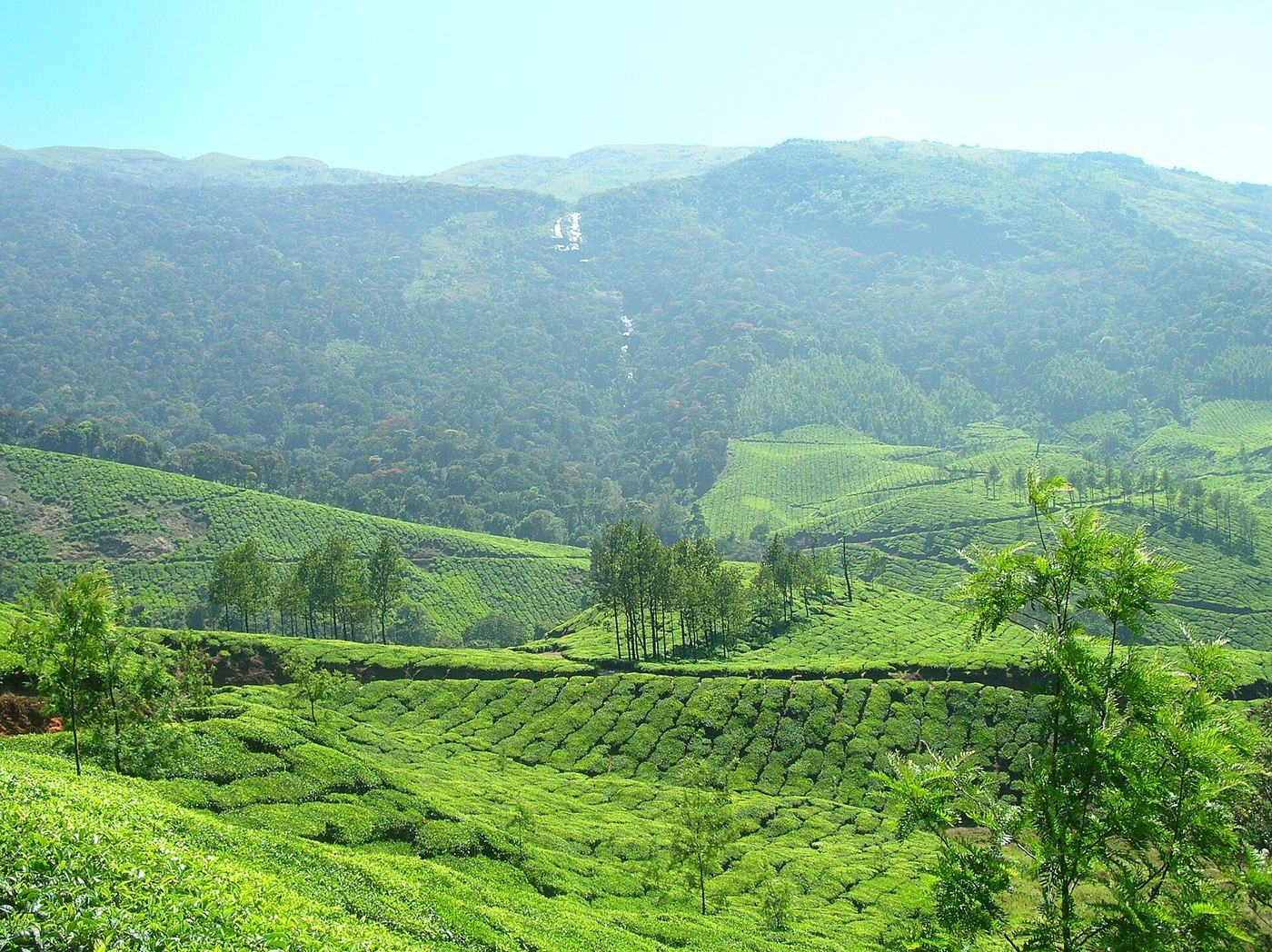 Munnar
