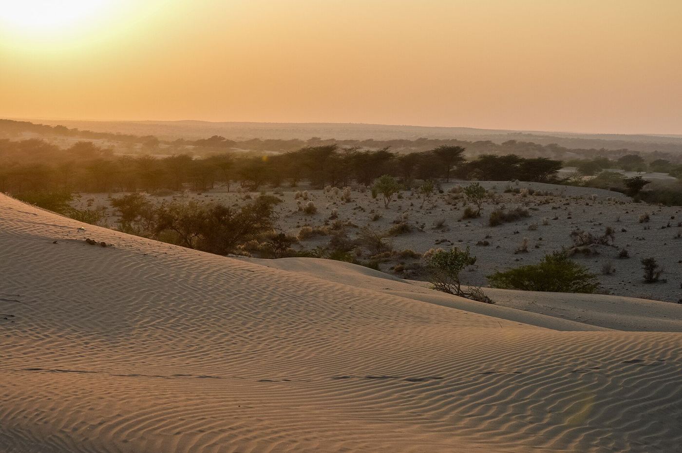 Rajasthan