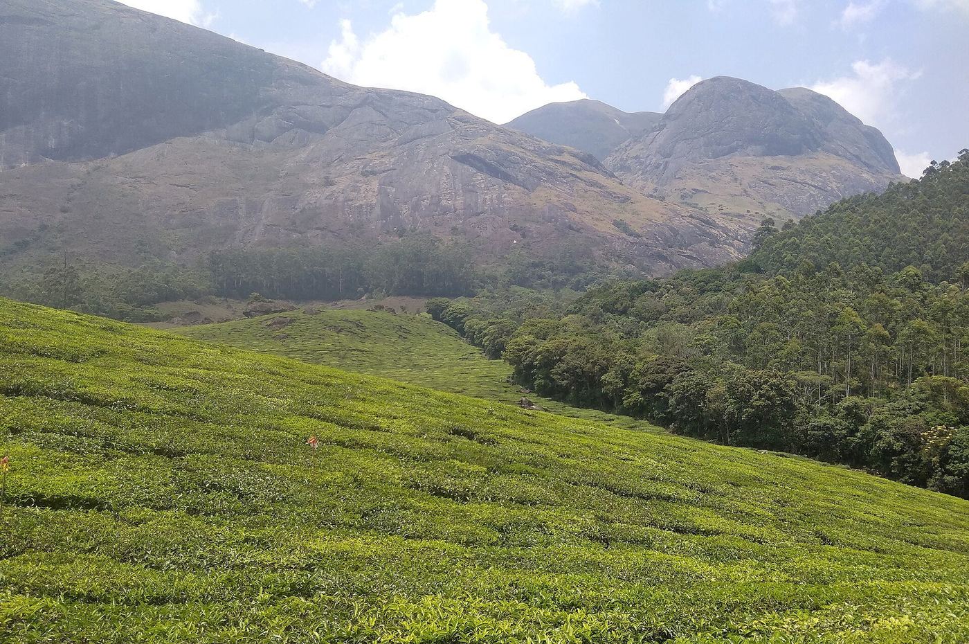 Munnar